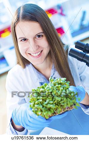 Female biologist holding seedlings View Large Photo Image Stock Photograph - Female biologist holding seedlings. Fotosearch