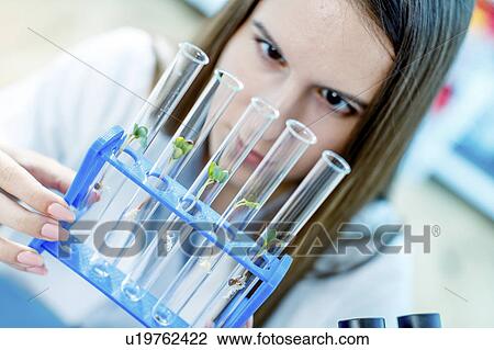 Female biologist testing plants in lab View Large Photo Image Stock Image - Female biologist testing plants in lab. Fotosearch
