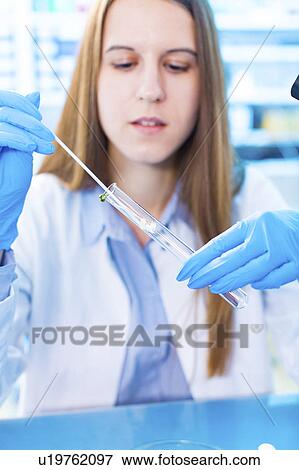 Stock Photo - Female biologist testing plants in lab. Fotosearch