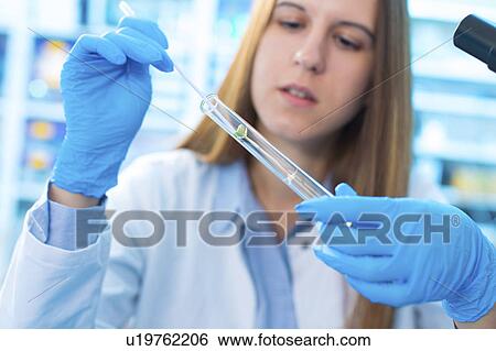 Stock Photograph - Female biologist testing plants in lab. Fotosearch
