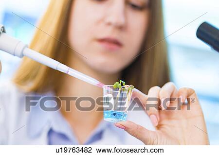Female biologist with seedling View Large Photo Image Stock Image - Female biologist with seedling. Fotosearch