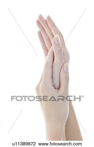 Female hands View Large Photo Image Stock Image - Female hands. Fotosearch