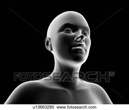 Stock Photography - Female head and shoulders, artwork. Fotosearch