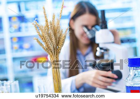 Female nutritionist using microscope View Large Photo Image Picture - Female nutritionist using microscope. Fotosearch