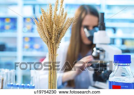 Stock Image - Female nutritionist using microscope. Fotosearch