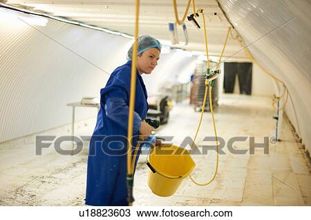 Female worker cleaning equipment in underground tunnel nursery, London, UK View Large Photo Image Stock Image - Female worker cleaning equipment in underground tunnel nursery, London, UK. Fotosearch
