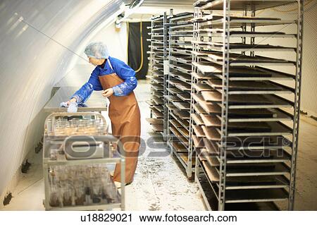 Female worker cleaning table in underground tunnel nursery, London, UK View Large Photo Image Stock Image - Female worker cleaning table in underground tunnel nursery, London, UK. Fotosearch