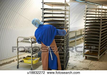 Stock Image - Female worker preparing stack of seed trays for cultivation in underground tunnel nursery, London, UK. Fotosearch
