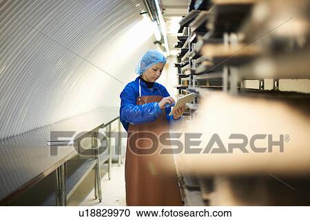 Female worker updating digital tablet whilst preparing stack of seed trays in underground tunnel nursery, London, UK View Large Photo Image Stock Image - Female worker updating digital tablet whilst preparing stack of seed trays in underground tunnel nursery, London, UK. Fotosearch