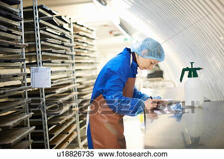 Female worker updating digital tablet in underground tunnel seed tray nursery, London, UK View Large Photo Image Stock Photography - Female worker updating digital tablet in underground tunnel seed tray nursery, London, UK. Fotosearch