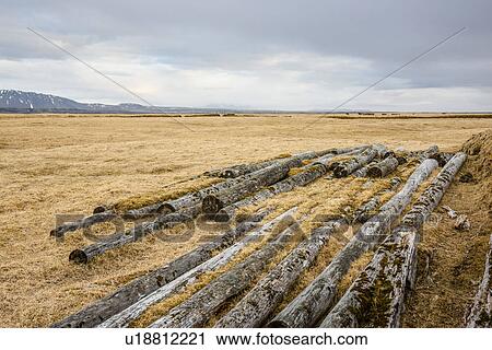 Field with logs, Landvegur, Iceland View Large Photo Image Stock Image - Field with logs, Landvegur, Iceland. Fotosearch