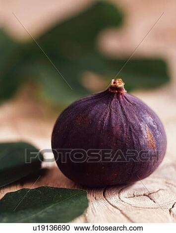 Fig, close-up View Large Photo Image Stock Image - Fig, close-up. Fotosearch