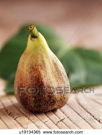 Stock Photography - Fig, close-up. Fotosearch