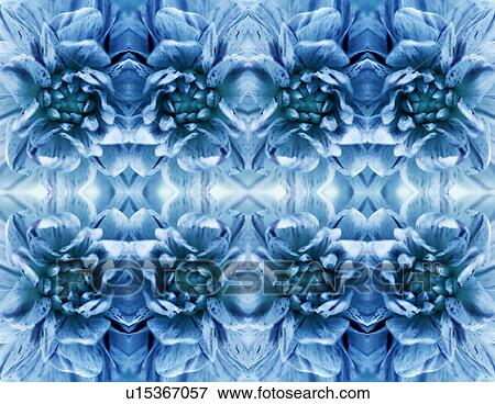 Flower petals View Large Photo Image Stock Photo - Flower petals. Fotosearch