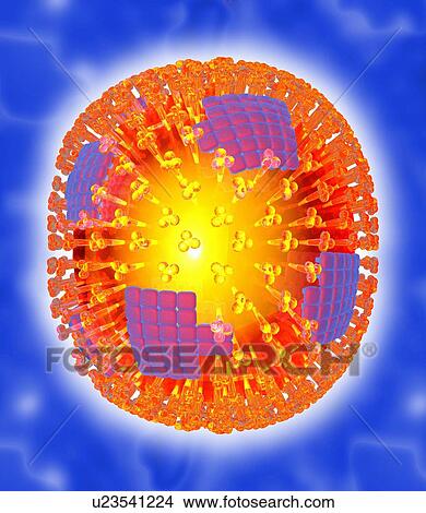 Picture - Flu virus particle, artwork. Fotosearch