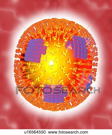 Stock Image - Flu virus particle, artwork. Fotosearch