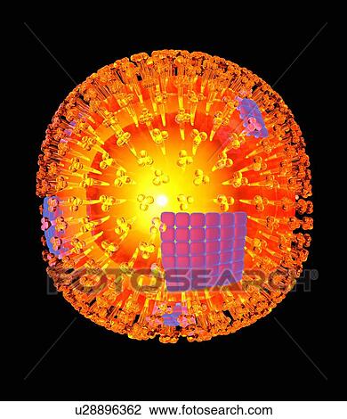 Stock Image - Flu virus particle, artwork. Fotosearch
