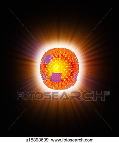 Flu virus particle, artwork View Large Photo Image Stock Photo - Flu virus particle, artwork. Fotosearch