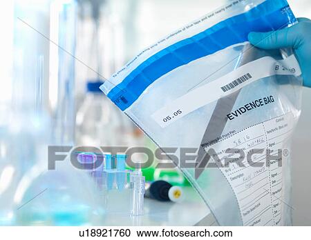 Forensic scientist preparing a knife taken from a scene of crime for DNA analysis View Large Photo Image Stock Image - Forensic scientist preparing a knife taken from a scene of crime for DNA analysis. Fotosearch