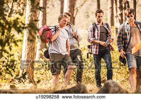 Four male hikers hiking in forest, Deer Park, Cape Town, South Africa View Large Photo Image Stock Photo - Four male hikers hiking in forest, Deer Park, Cape Town, South Africa. Fotosearch