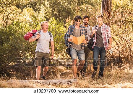 Four male hikers hiking through forest, Deer Park, Cape Town, South Africa View Large Photo Image Stock Image - Four male hikers hiking through forest, Deer Park, Cape Town, South Africa. Fotosearch