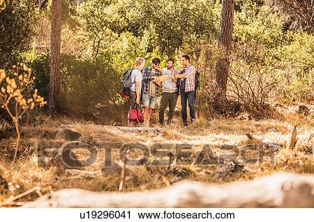 Four male hikers reading and pointing at map in forest, Deer Park, Cape Town, South Africa View Large Photo Image Stock Image - Four male hikers reading and pointing at map in forest, Deer Park, Cape Town, South Africa. Fotosearch