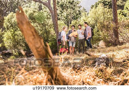 Stock Photo - Four male hikers reading map in forest, Deer Park, Cape Town, South Africa. Fotosearch