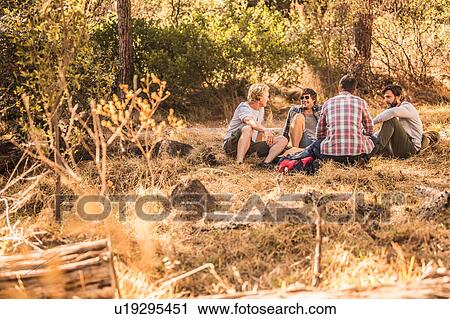 Stock Image - Four male hikers sitting chatting in forest, Deer Park, Cape Town, South Africa. Fotosearch