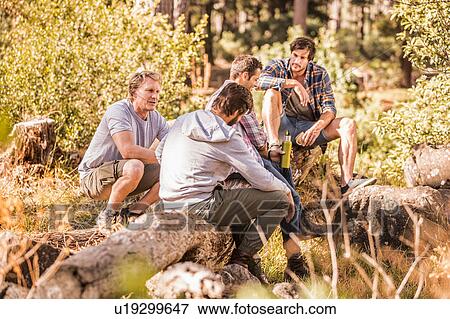 Stock Photo - Four male hikers sitting chatting in forest, Deer Park, Cape Town, South Africa. Fotosearch