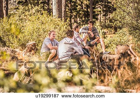Four male hikers sitting with coffee in forest, Deer Park, Cape Town, South Africa View Large Photo Image Stock Photo - Four male hikers sitting with coffee in forest, Deer Park, Cape Town, South Africa. Fotosearch
