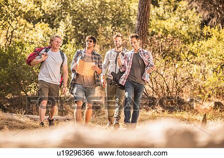Stock Photograph - Four male hikers with map on forest hike, Deer Park, Cape Town, South Africa. Fotosearch