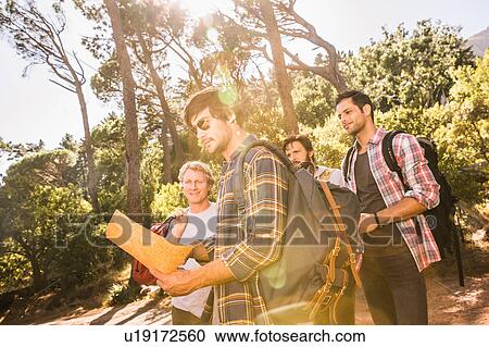 Four male hiking friends reading map in forest, Deer Park, Cape Town, South Africa View Large Photo Image Stock Image - Four male hiking friends reading map in forest, Deer Park, Cape Town, South Africa. Fotosearch