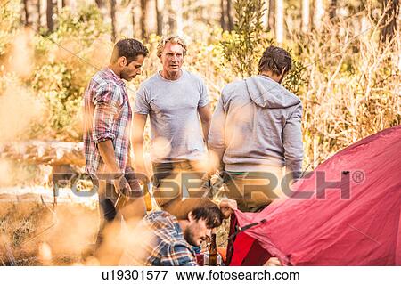 Four men camping together in forest, Deer Park, Cape Town, South Africa View Large Photo Image Stock Photo - Four men camping together in forest, Deer Park, Cape Town, South Africa. Fotosearch