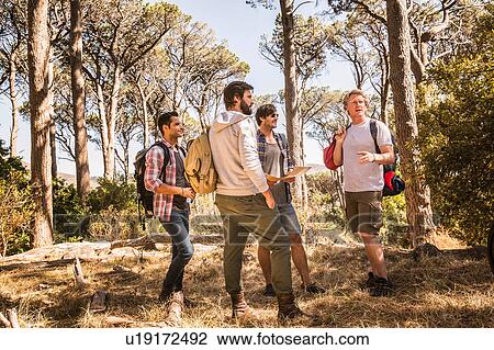 Four men planning with hiking map in forest, Deer Park, Cape Town, South Africa View Large Photo Image Stock Image - Four men planning with hiking map in forest, Deer Park, Cape Town, South Africa. Fotosearch