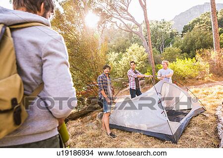 Four men putting up dome tent in forest, Deer Park, Cape Town, South Africa View Large Photo Image Picture - Four men putting up dome tent in forest, Deer Park, Cape Town, South Africa. Fotosearch