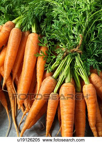 Stock Photography - Fresh carrots with carrot tops, tied with string, close-up. Fotosearch