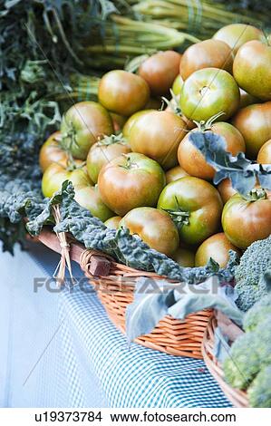 Fresh tomatoes in basket View Large Photo Image Picture - Fresh tomatoes in basket. Fotosearch