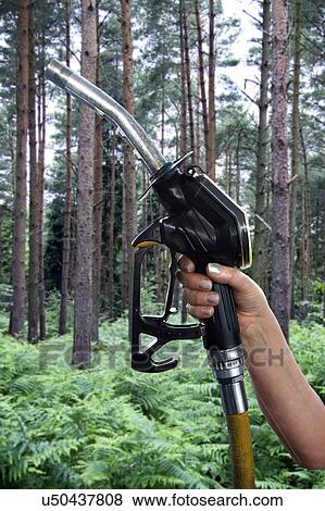 Fuel pump nozzle and forest View Large Photo Image Stock Photo - Fuel pump nozzle and forest. Fotosearch