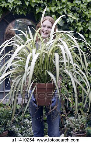 Picture - Gardening. Fotosearch