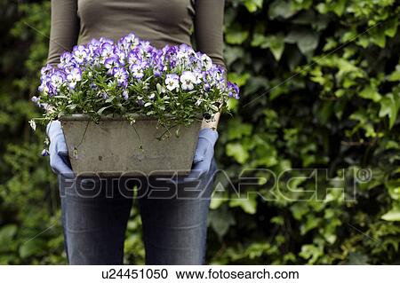 Gardening View Large Photo Image Stock Image - Gardening. Fotosearch