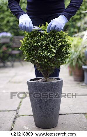 Gardening View Large Photo Image Stock Photo - Gardening. Fotosearch