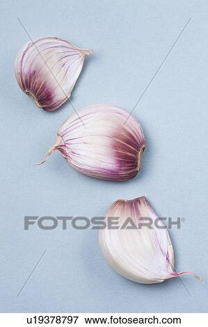 Garlic cloves View Large Photo Image Stock Photo - Garlic cloves. Fotosearch