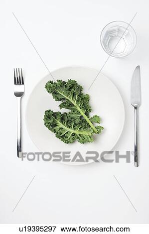 Stock Photo - Green leaves on a white plate. Fotosearch