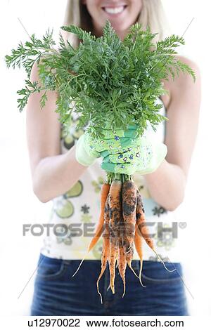 Stock Image - Harvested carrots. Fotosearch