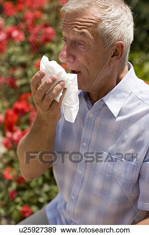 Hay fever View Large Photo Image Stock Photo - Hay fever. Fotosearch