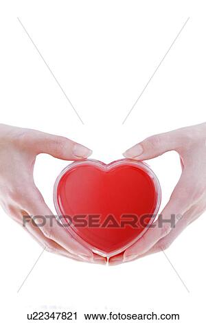 Healthy heart View Large Photo Image Stock Image - Healthy heart. Fotosearch