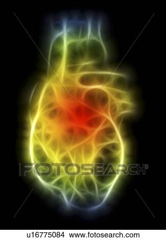 Heart, computer artwork View Large Photo Image Picture - Heart, computer artwork. Fotosearch