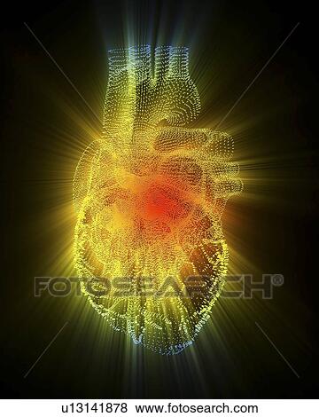 Heart, computer artwork View Large Photo Image Stock Photo - Heart, computer artwork. Fotosearch