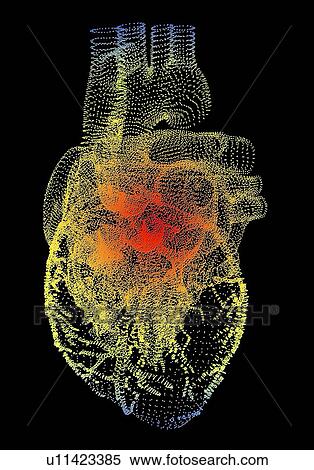 Heart, computer artwork View Large Photo Image Stock Photography - Heart, computer artwork. Fotosearch