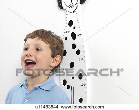 Height measurement View Large Photo Image Picture - Height measurement. Fotosearch